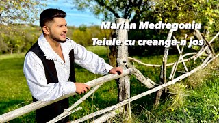 Marian Medregoniu - Teiule cu creanga-n jos