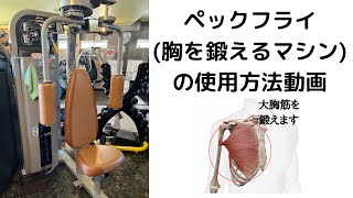 ペックフライ(胸を鍛えるマシン)の使用方法をご紹介致します