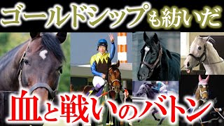 【初心者も解る】ゴールドシップも紡いだ競馬の名馬相関図