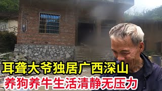 難聴老人は山の奥に一人で住んでいて、崩れそうな古い家で犬10頭の牛を7匹飼っていて、生活が静かでストレスがない【山農楽兄】