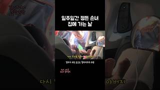 정든 손녀가 집에 가는 날 #딸바보가되는이유  #shorts