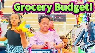 Family Grocery Haul at Weis Market – Shopping on a Budget!
