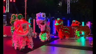 เชิดสิงโตเรืองแสง โชว์ทีเด็ดแสงสีอลังการมาก Chinese New Year 2019