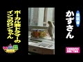 【公式】＜1月27日（木）放送＞クセがスゴい写真or動画｜テレビ西日本