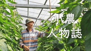 佳豐有機農場 -《小農人物誌》｜ 有機百合的先驅