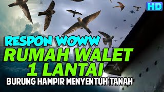 Playtube Pk Ultimate Video Sharing Website