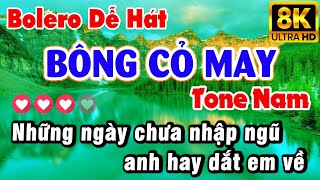 Karaoke BÔNG CỎ MAY Tone Nam (Đô thăng thứ) Nhạc Sống KLA | Karaoke 9669
