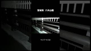 【心霊】現役の飛び◯り名所がやばすぎた。「ここはダメよ。ほんとに。」#あやはる心霊 #心霊 #心霊スポット #仙台 #八木山橋