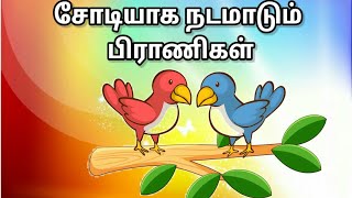 சோடியாக நடமாடும் பிராணிகள் | தரம் - 1