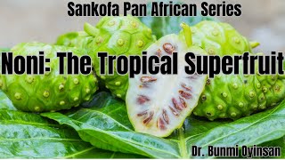 Noni: The Tropical Superfruit #NoniHealthBoost #SuperfruitBenefits #NoniNutritio