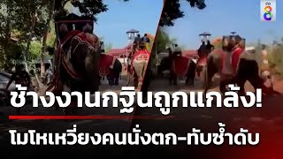 ช้างแห่บุญกฐิน อารมณ์เสียเหวี่ยงคนนั่งตกทำร้ายซ้ำดับ | 12 พ.ย. 67 | คุยข่าวเช้าช่อง8