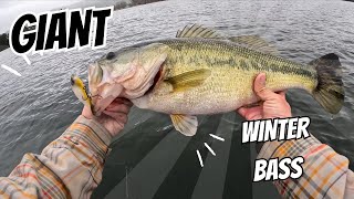 WINTER FISHING LEGENDARY LAKE GUNTERSVILE (Best Lake in America?!?)