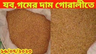 যব,গমের দাম গোরালীতে | গমের দাম আজকের খবর | যবের আজকের বাজার দর | আজকের বাজারে গমের পাইকারী দাম কত |