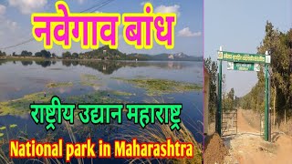 नवेगाव बांध राष्ट्रीय उद्यान महाराष्ट्र ||  Navegaon Bandh National Park Maharashtra