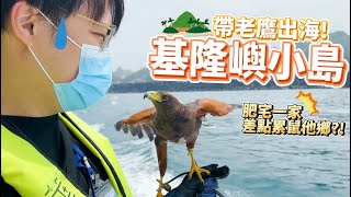 帶老鷹出海？差點累死肥宅老爸的基隆嶼之旅！| 波氏家族 popofamily |【帶著波波看世界】| 栗翅鷹波波 | 哈里斯鷹日常 ft.@Kai-1996