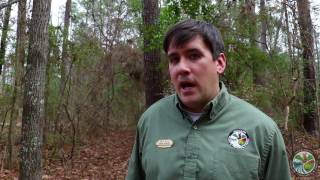Why is Prescribed Burning Important?