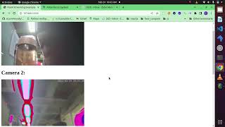 single python script response for multiple cameras frames