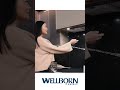 Modern Glam Kitchen- Range Hood Light and Ventilation | Wellborn Cabinet