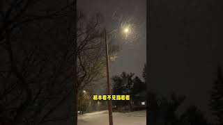 冬天来了 雪终于来了#我眼中的滑铁卢