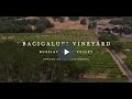 Bacigalupi Vineyard - Gary Farrell Vineyards & Winery