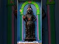 Arogara arogra muruga #tamil #murugankovil #murugan #god #love #murugan #shots #shiv #ganesh #shorts