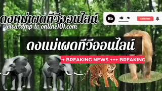 .จิตศรัทธาร่วมพิธีมุฑิตาสักการะ อายุวัฒนมงคล​ 43 ปี พระอาจารย์เกรียงไกรปัญญาธโร