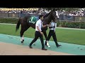 【4k動画】第9回サウジアラビアrcパドック u0026返し馬【東京競馬場】