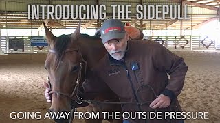 INTRODUCING!!! - THE USE!!! - OF THE SIDE PULL!!! - HACKAMORE!!! - BEGINNERS!!!