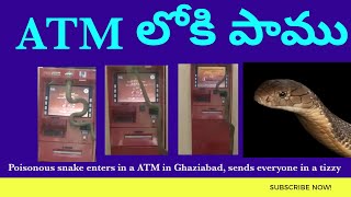 #SnakeinATM #snakeenterintoatm # ATM లోకి పాము Poisonous snake enters in a ATM in Ghaziabad