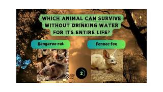 Animal trivia quiz -30 questions and answers about animal world