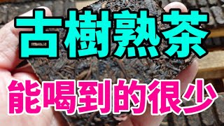 古樹熟茶是普洱茶嗎？真正用古樹茶發酵的熟茶你喝過嗎？古樹熟茶真的好喝嗎？