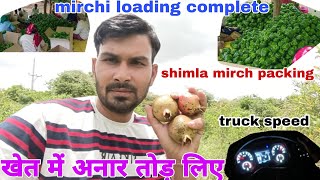 mirchi loading complete // Shimla mirch packing // truck speed // खेत में अनार तोड़ लिए