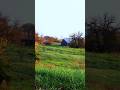 #videography #rural #sunrise #morning #bluegrass #videographer #cinematography #barn #nature