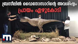 ബ്രസീലില്‍ ഡൈനോസാറിന്റെ അവശിഷ്ടം- പ്രായം ഏഴുകോടി | Mathrubhumi News