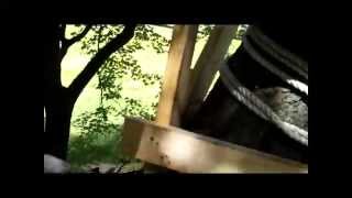 Best Treehouse 2 - 700 + square feet, 8 levels, 50 foot rope bridge, 120 foot zip line