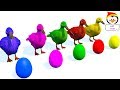 Animales para niños #Patos | Aprende el nombre y el sonido de los animales | स्पेनिश सीखना