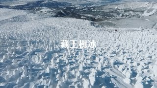 【Alan看空拍】重返雪國邊境 藏王樹冰