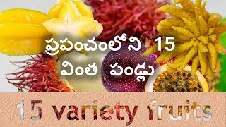 Top 10 Variety  \u0026 rarest fruits in World | in telugu