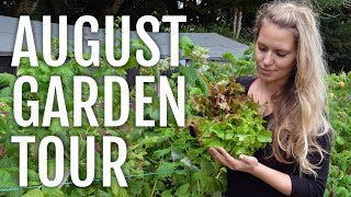 August Allotment Garden Tour