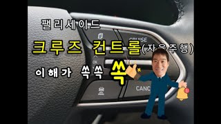 팰리세이드 크루즈 컨트롤 (자율 주행) 이해가 쏙.쏙.쏙