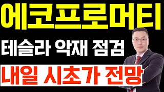 에코프로머티 주가 전망, 테슬라 악재 점검 내일 시초가 전망