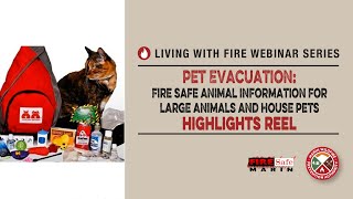 How to Save Your Pets During a Wildfire