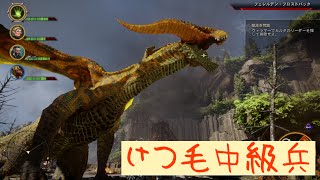 【ドラゴンエイジ インクイジション 実況】ドラゴン見つけたクゥゥゥゥゥゥww【PS4 Dragon Age INQUISITION】けつ毛#7