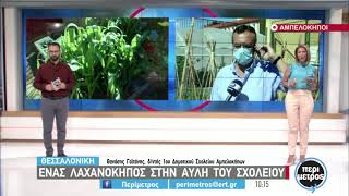 Θεσσαλονίκη: Ένας λαχανόκηπος στην αυλή  σχολείου | 15/06/2021 | ΕΡΤ