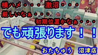 NO,46【おたちゅう沼津店】多少沼ってもやっぱりクレゲは楽しいですな♪♪