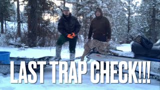 MTN LIFE TRAPPING | Fur Season | EP 8 | Snared Bobcat!!!