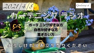 【園芸・ガーデニングを楽しもう！】ガーデニングラジオ８日目の放送です。素敵な出会い・ガーデニングの悲しい出来事・観天望気などについてお話させて頂きました。＊ラジオ風なので動画はありません。