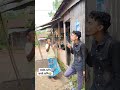 বড় ভাই ভুল দেখলো যতই দেখি ততই হাসি bangla funny video sas shahin