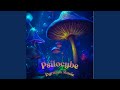 Psilocybe
