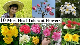 10 Most Heat Tolerant Flowers || Plants That Tolerate Extreme Summer || Sunloving Summer Flowers